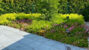 Pflanzungen in Bargeshagen