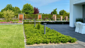 Pflanzungen in Bargeshagen