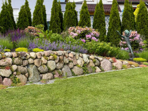 Pflanzungen in Graal-Müritz