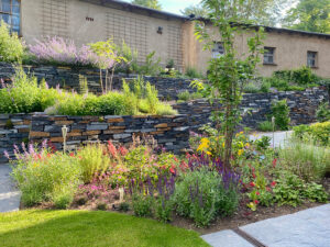 Pflanzungen in Schwerin