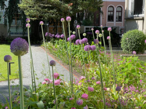 Pflanzungen Zeecksche Villa