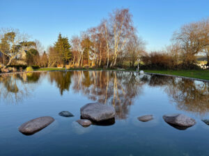 Schwimmteich in Saal